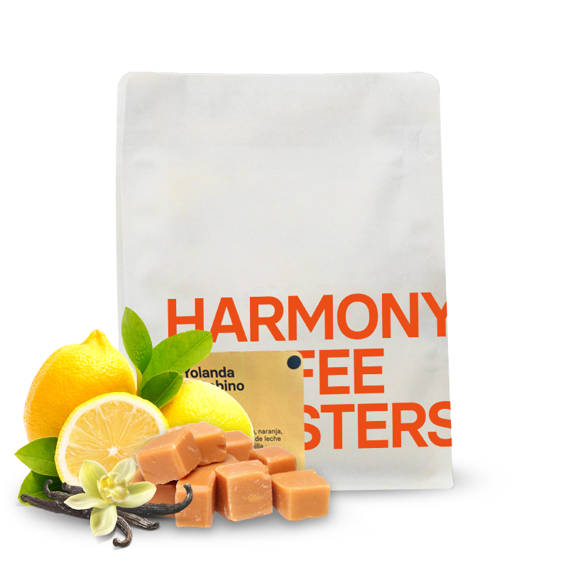 Specialty coffee Harmony Coffee Roasters Mexico YOLANDA & GABINO