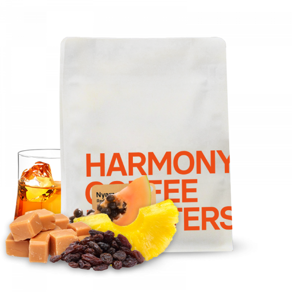 Specialty coffee Harmony Coffee Roasters Rwanda NYAMAGABE