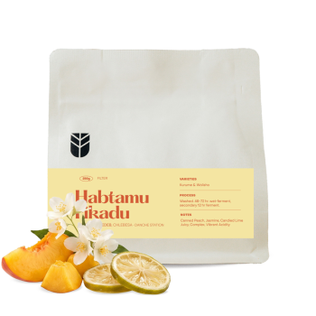 Ethiopia HABTAMU FIKADU - Subtext