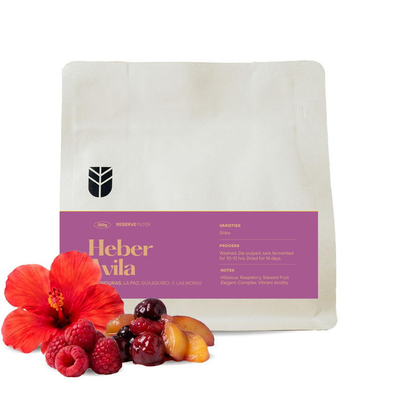 Specialty coffee Subtext Honduras HEBER AVILA