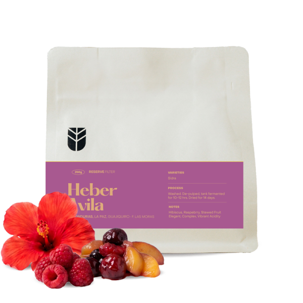 Specialty coffee Subtext Honduras HEBER AVILA