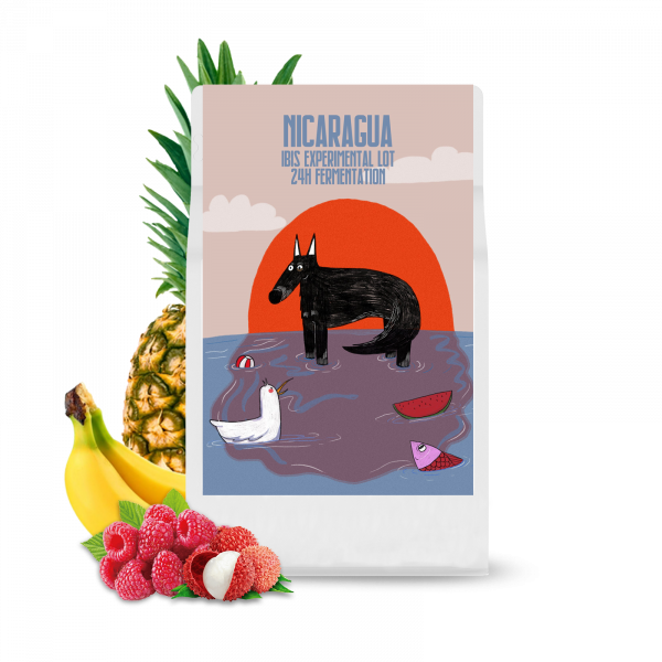 Specialty coffee Jokes Aside Coffee Roasters Nicaragua IBIS ADAMICK