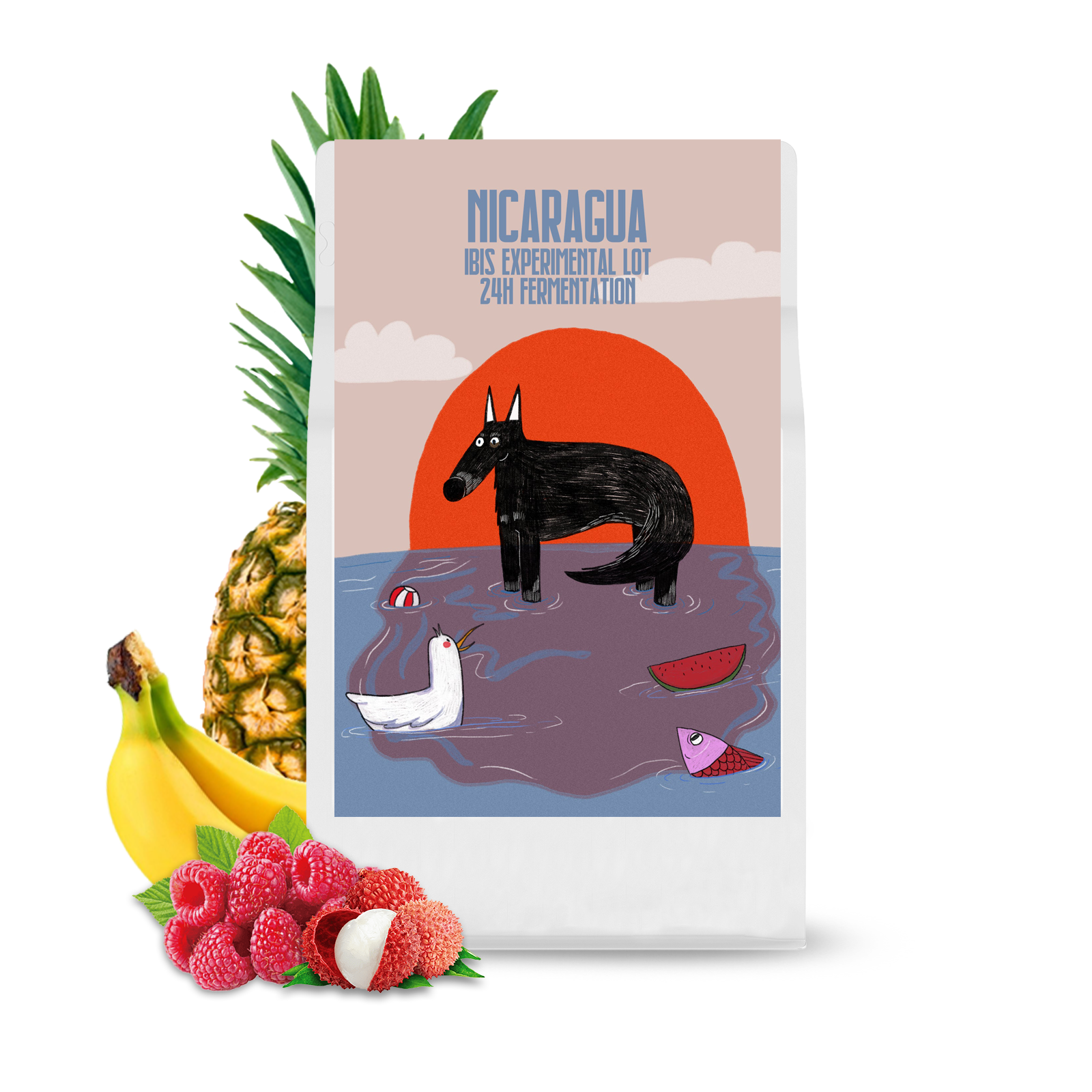 Specialty coffee Jokes Aside Coffee Roasters Nicaragua IBIS ADAMICK