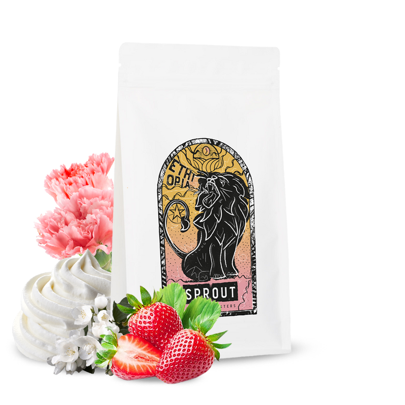 Specialty coffee Sprout Coffee Roasters Ethiopia REFISA