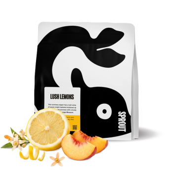 Colombia LUSH LEMONS - Sprout Coffee Roasters