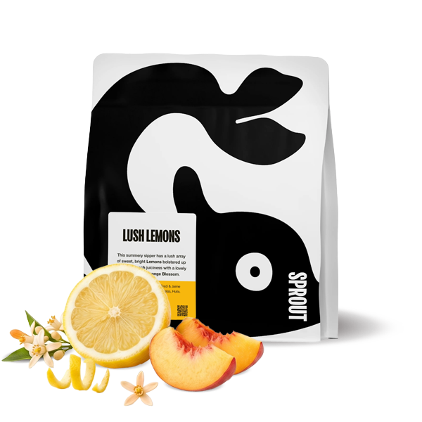 Specialty coffee Sprout Coffee Roasters Colombia LUSH LEMONS