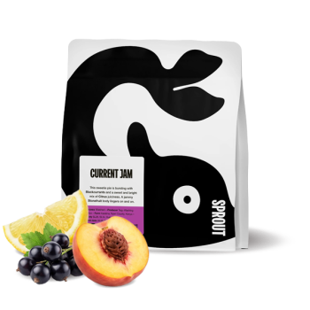 Kenya CURRENT JAM - Sprout Coffee Roasters