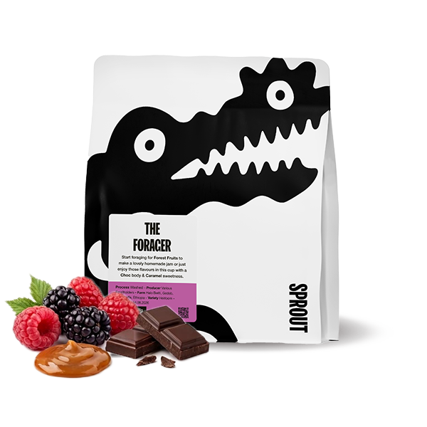 Specialty coffee Sprout Coffee Roasters Ethiopia THE FORAGER