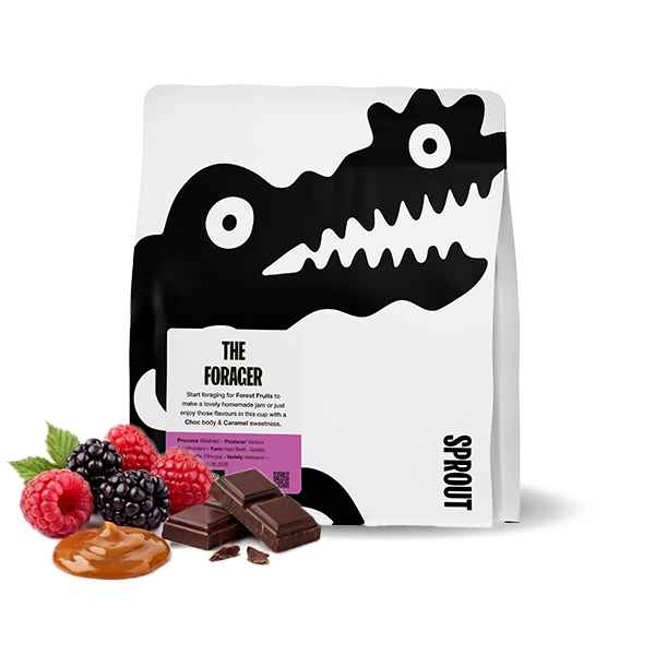 Specialty coffee Sprout Coffee Roasters Ethiopia THE FORAGER