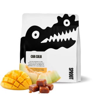 Ethiopia GAIA GALIA - Sprout Coffee Roasters