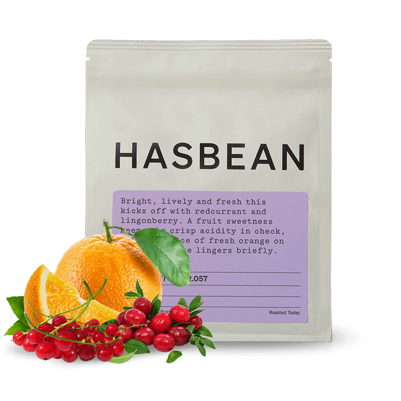 Specialty coffee Hasbean Kenya CHINGA - natural