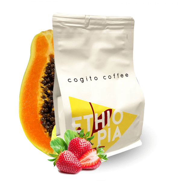 Specialty coffee Cogito Coffee Ethiopia Foge #2