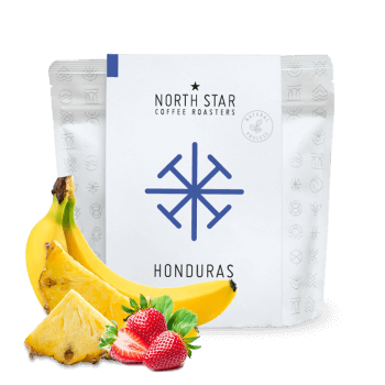 Honduras BLANCA ROSA - 90hr macerated - North Star Coffee Roasters