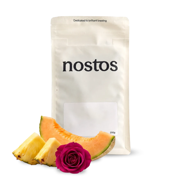 Specialty coffee Nostos Coffee Ethiopia KOKE
