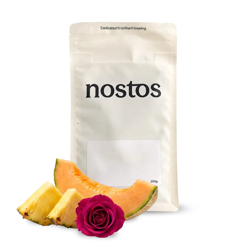Specialty coffee Nostos Coffee Ethiopia KOKE