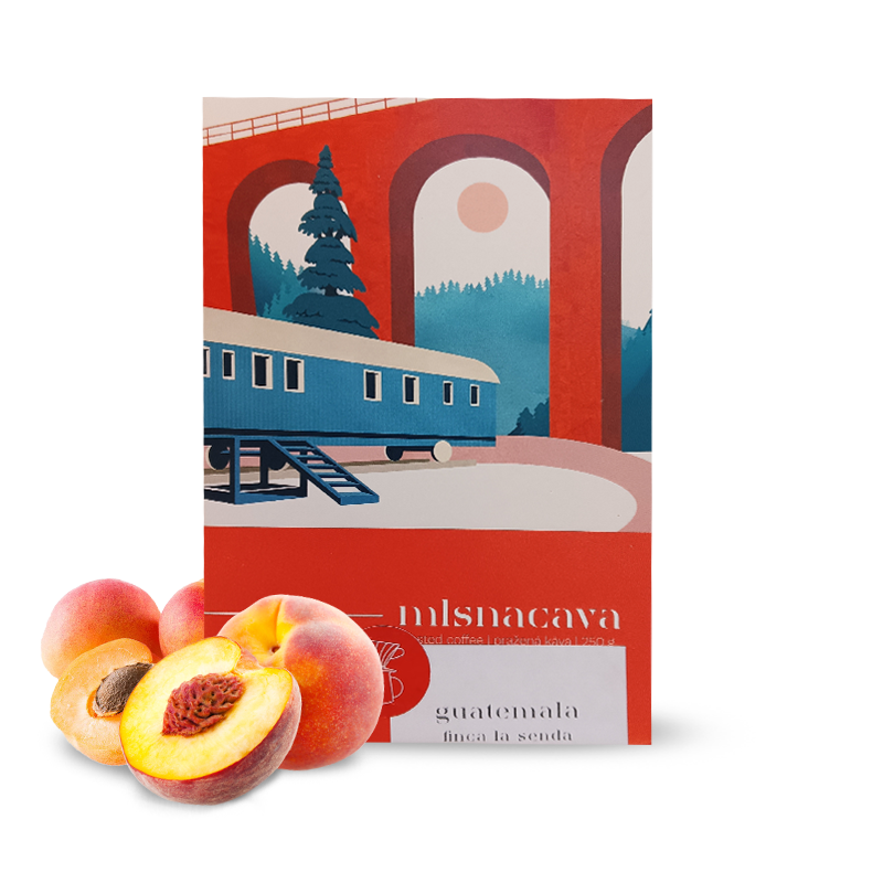 Specialty coffee Mlsnacava Guatemala LA SENDA - natural