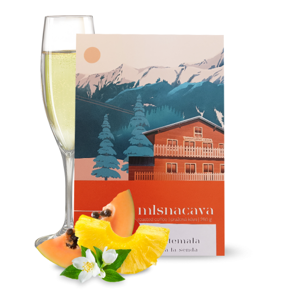 Specialty coffee Mlsnacava Guatemala LA SENDA - Champagne Yeast