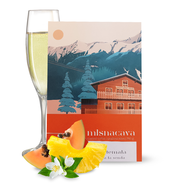 Specialty coffee Mlsnacava Guatemala LA SENDA - Champagne Yeast