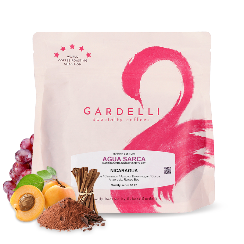 Specialty coffee Gardelli Coffee Nicaragua AGUA SARCA