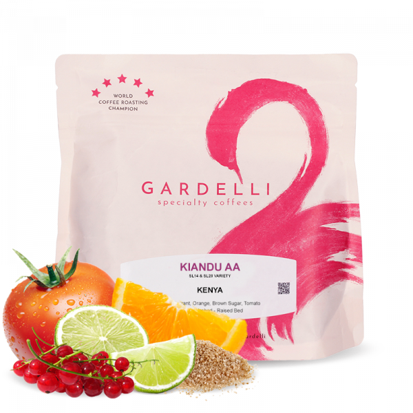 Specialty coffee Gardelli Coffee Kenya KIANDU AA