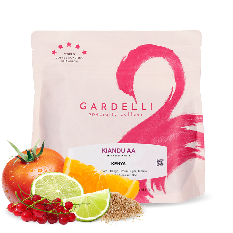 Specialty coffee Gardelli Coffee Kenya KIANDU AA