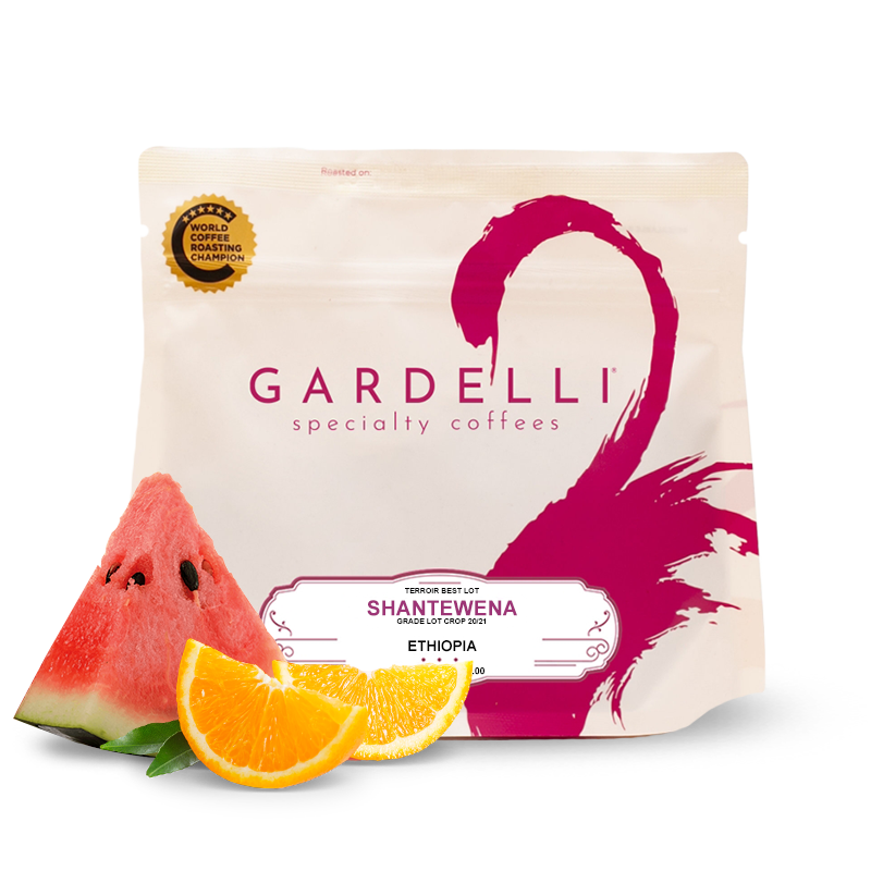 Specialty coffee Gardelli Coffee Ethiopia SHANTEWENA