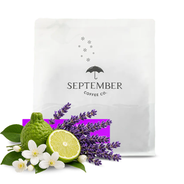 Specialty coffee September Coffee Colombia WILDER LASSO - 200g