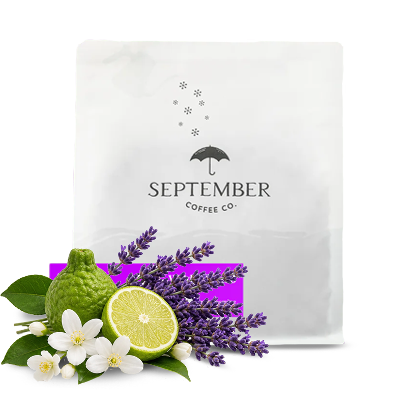 Specialty coffee September Coffee Colombia WILDER LASSO - 200g