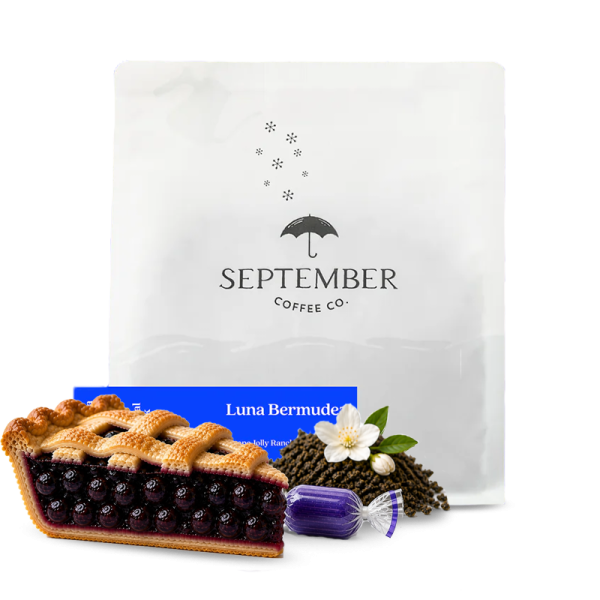 Specialty coffee September Coffee Kolumbie LUNA BERMUDEZ - 200g
