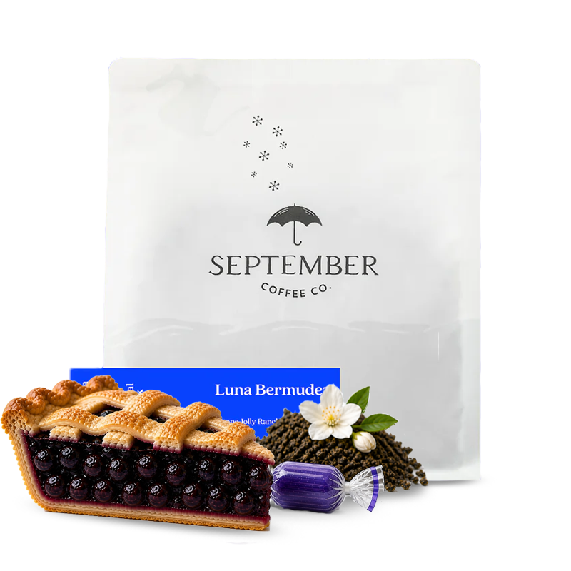 Specialty coffee September Coffee Kolumbie LUNA BERMUDEZ - 200g