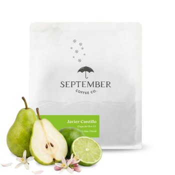 Colombia JAVIER CANTILLO - Geisha - 200g - September Coffee