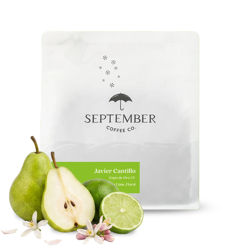 Specialty coffee September Coffee Colombia JAVIER CANTILLO - Geisha - 200g