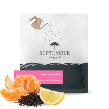 Colombia AMPARO BOTINA - September Coffee