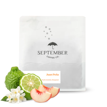 Ecuador JUAN PEÑA - Geisha - 100g - September Coffee