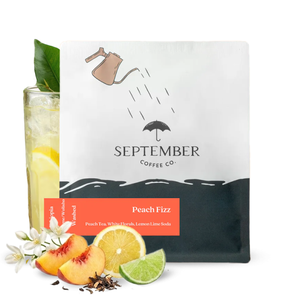 Specialty coffee September Coffee Ethiopia PEACH FIZZ