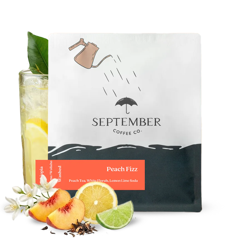 Specialty coffee September Coffee Ethiopia PEACH FIZZ