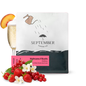 Ethiopia HABTAMU FIKADU CHELBESA - September Coffee