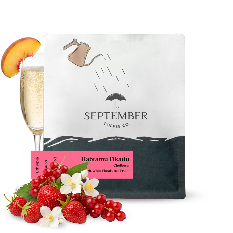 Specialty coffee September Coffee Ethiopia HABTAMU FIKADU CHELBESA
