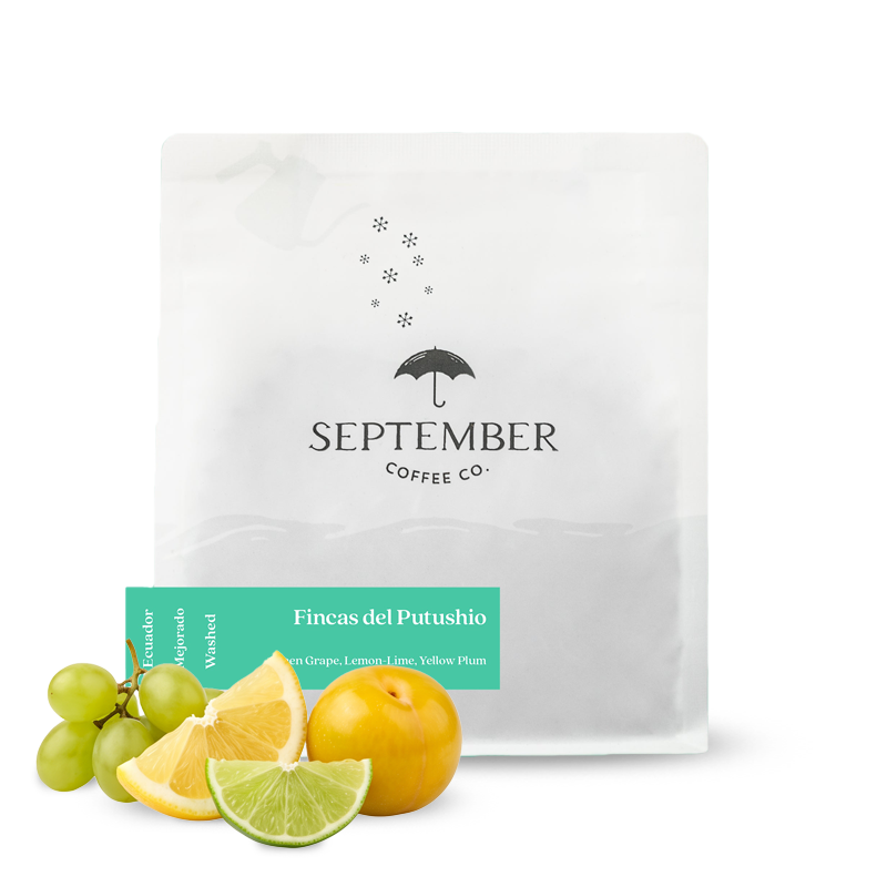Specialty coffee September Coffee Ecuador FINCAS DEL PUTUSHIO - 125 g
