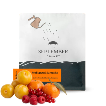 Ethiopia MULLUGETA MUNTASHA - September Coffee