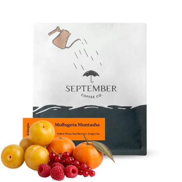 Specialty coffee September Coffee Ethiopia MULLUGETA MUNTASHA
