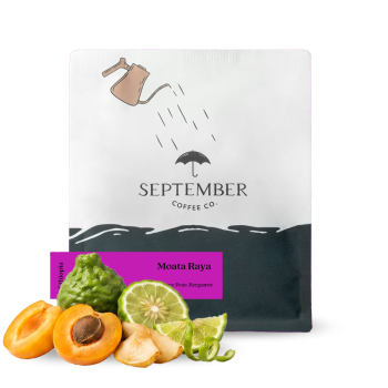 Ethiopia MOATA RAYA - September Coffee