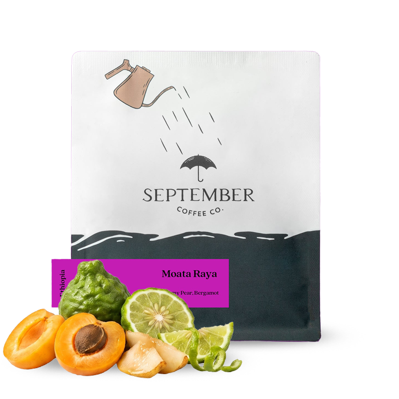 Specialty coffee September Coffee Ethiopia MOATA RAYA