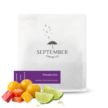 Colombia PARAISO ZEO - Geisha - 125 g - September Coffee