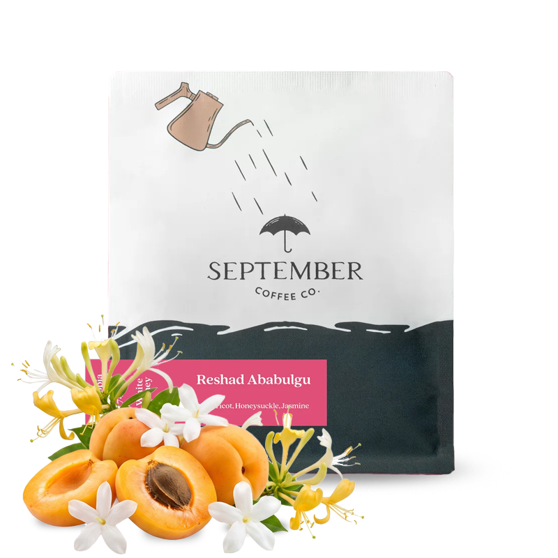 Specialty coffee September Coffee Ethiopia RESHAD ABABULGU