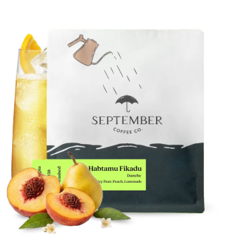 Ethiopia HABTAMU FIKADU DANCHE - September Coffee