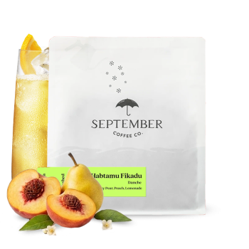 Ethiopia HABTAMU FIKADU DANCHE - September Coffee