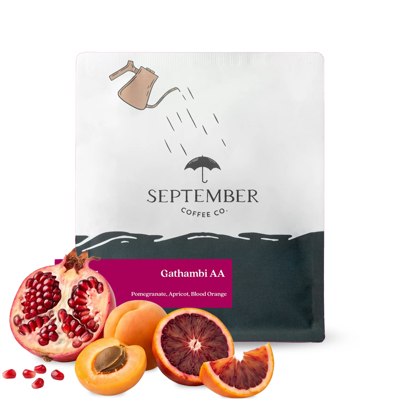 Specialty coffee September Coffee Kenya GATHAMBI AA