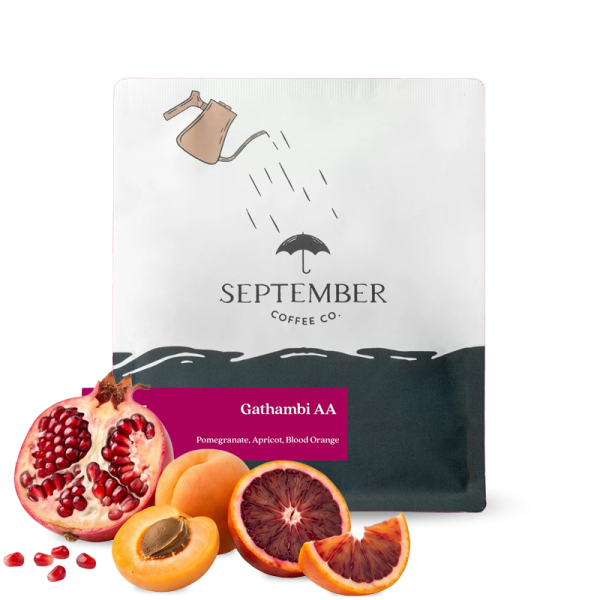Specialty coffee September Coffee Kenya GATHAMBI AA