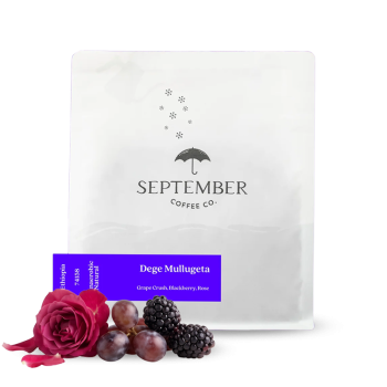 Ethiopia DEGE MULLUGETA - September Coffee